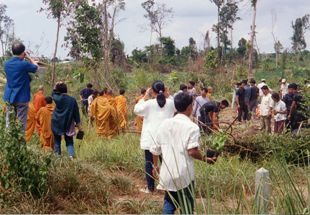 plantingtrees